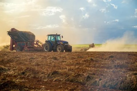 Peanut tractor Stock Photos