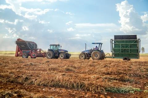 Peanut tractor Stock Photos