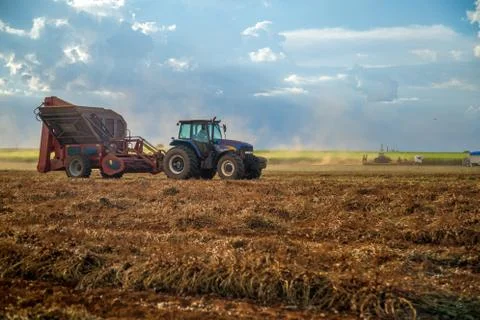 Peanut tractor Stock Photos