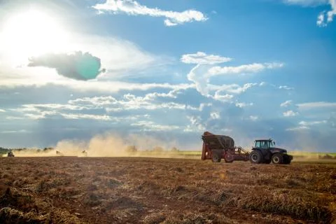 Peanut tractor Stock Photos
