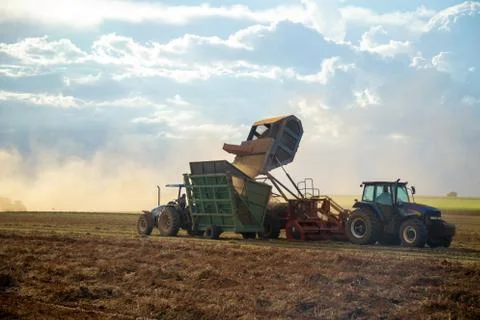 Peanut tractor Stock Photos