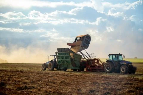 Peanut tractor Stock Photos