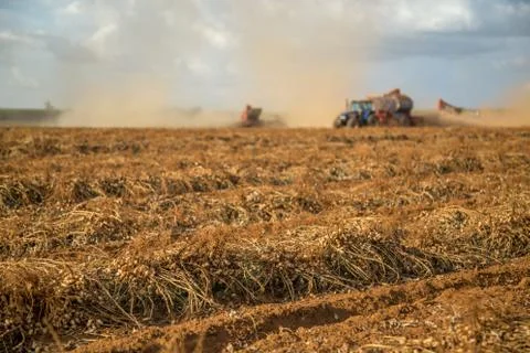 Peanut tractor Stock Photos