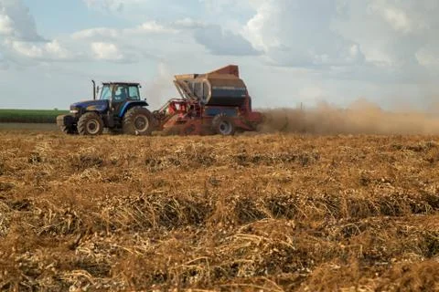 Peanut tractor Foto stock