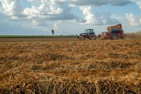 Peanut tractor Stock Photos