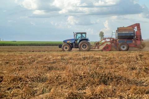 Peanut tractor Stock Photos
