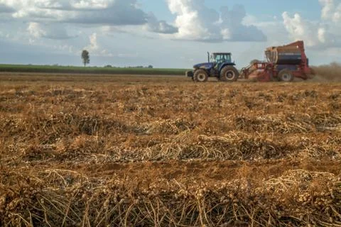 Peanut tractor Stock Photos