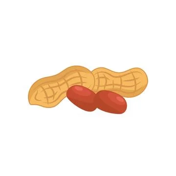 Peanut vector illustration element concept design template Stock Illustration