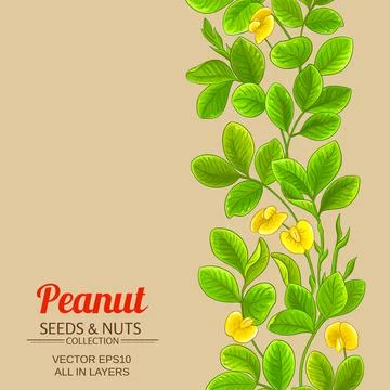 Peanut vector pattern on color background Stock Illustration