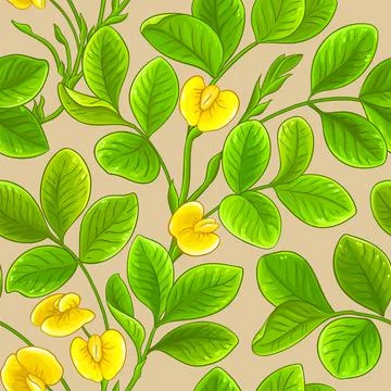 Peanut vector pattern on color background Stock Illustration