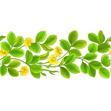 Peanut vector pattern on white background イラスト素材