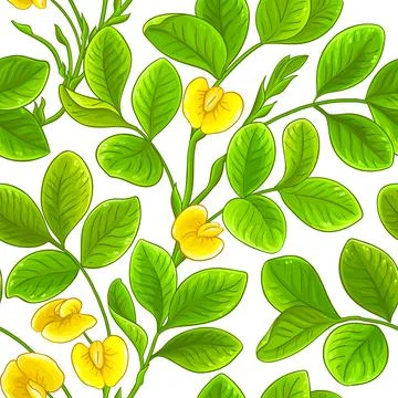 Peanut vector pattern on white background Stock Illustration