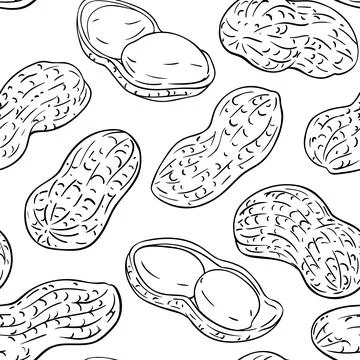 Peanut vector pattern on white background Stock Illustration
