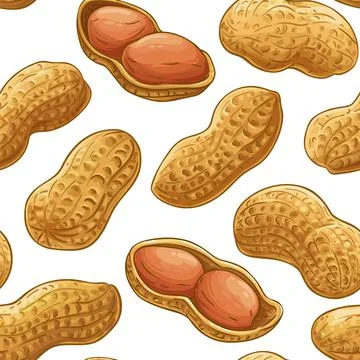 Peanut vector pattern on white background イラスト素材