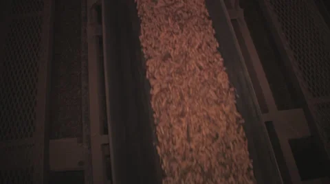 Peanut warehouse 4 Stock Footage 32287372