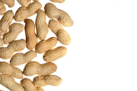 Peanut on the white background Stock Photos