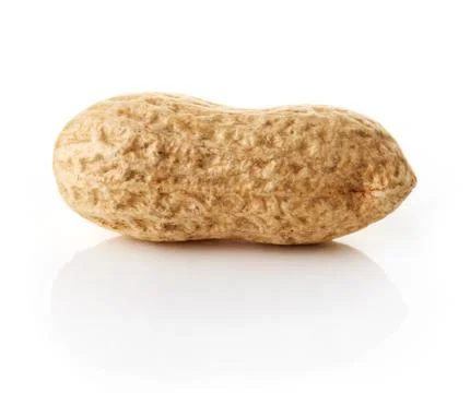 Peanut on white background Stock Photos