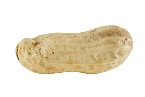 Peanut on white background Stock Photos