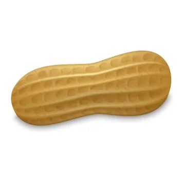 Peanut whole shell icon, realistic style Illustrazione stock