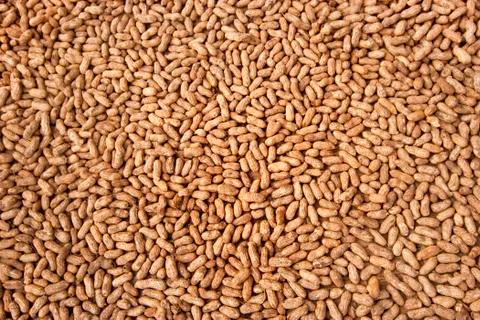 Peanuts after harvest background. Stock Photos