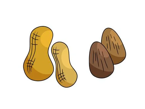 Peanuts and almonds Stock Illustration