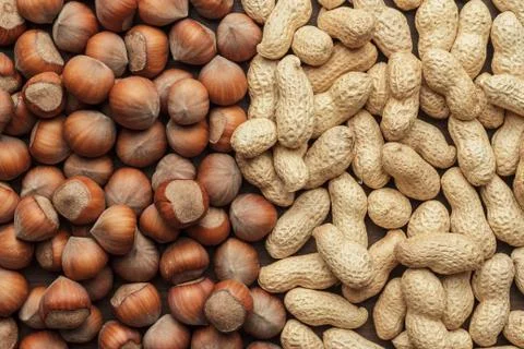 Peanuts and hazelnuts Stock Photos