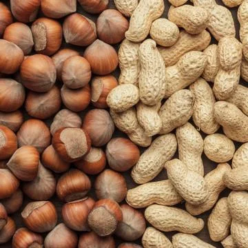 Peanuts and hazelnuts Stock Photos