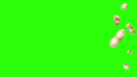 Peanuts animation group on green screen, graphic source elements Vidéo 155806839