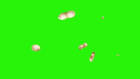 Peanuts animation group on green screen, graphic source elements Vidéo 155806846