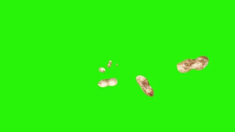 Peanuts animation group on green screen, graphic source elements Vídeo Stock 155806857