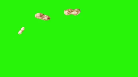 Peanuts animation group on green screen, graphic source elements Stock-Footage 155806861