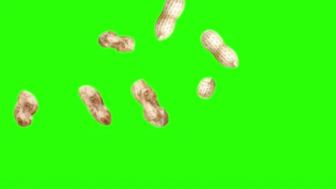 Peanuts animation group on green screen, graphic source elements Vidéo 155806875