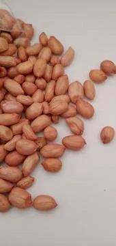 Peanuts (Arachis hypogaea) Stock Photos