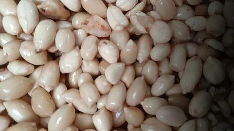 Peanuts are being peeled Stock Photos