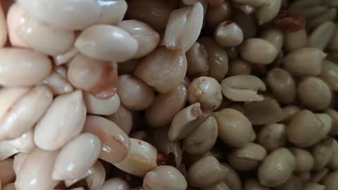 Peanuts are being peeled Stock Photos