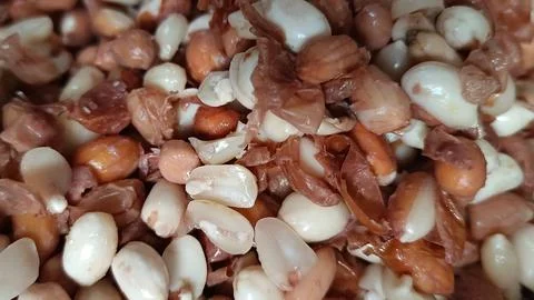 Peanuts are being peeled Stock Photos