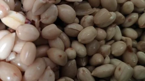Peanuts are being peeled Stock Photos