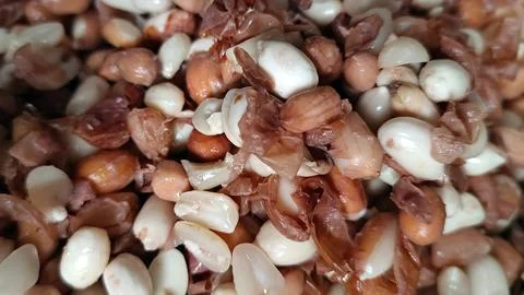 Peanuts are being peeled Stock Photos