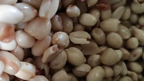 Peanuts are being peeled Stock Photos