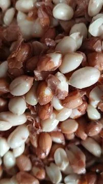 Peanuts are being peeled Stock Photos
