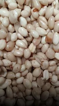 Peanuts are being peeled Stock Photos