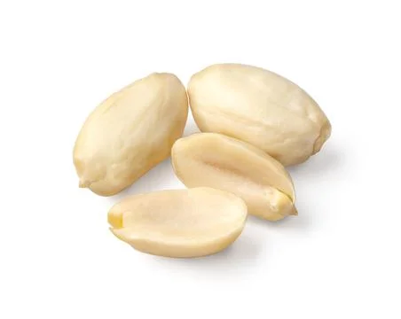Peanuts are isolated. Peanuts on a white background. 写真素材