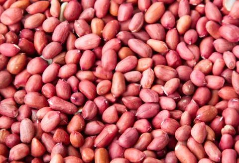 Peanuts as a background and texture Stock Photos