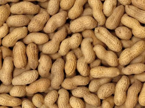 Peanuts background Stock Photos