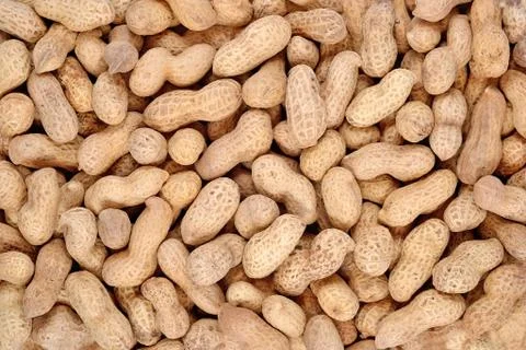 Peanuts background Stock Photos