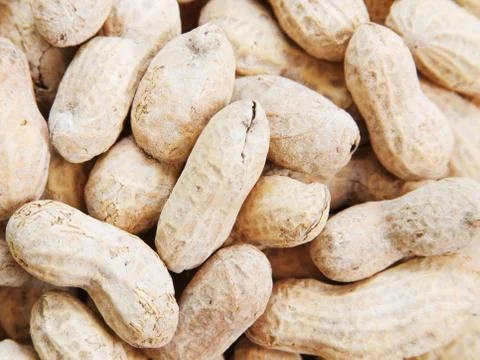 Peanuts Background Stock Photos