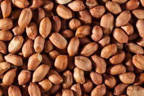 Peanuts for background Stock Photos