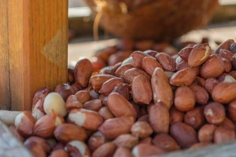 Peanuts on bird table Stock Photos