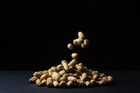 Peanuts on a black background. A peanut falls on a pile of peanuts. Stock Photos