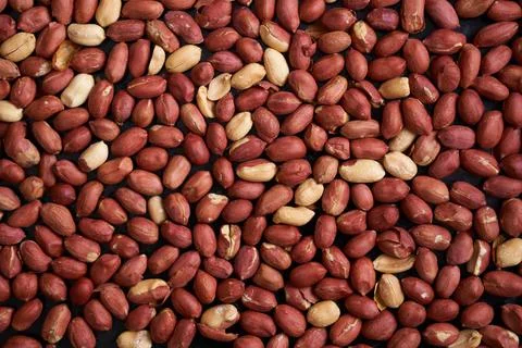 Peanuts on black background. Stock Photos